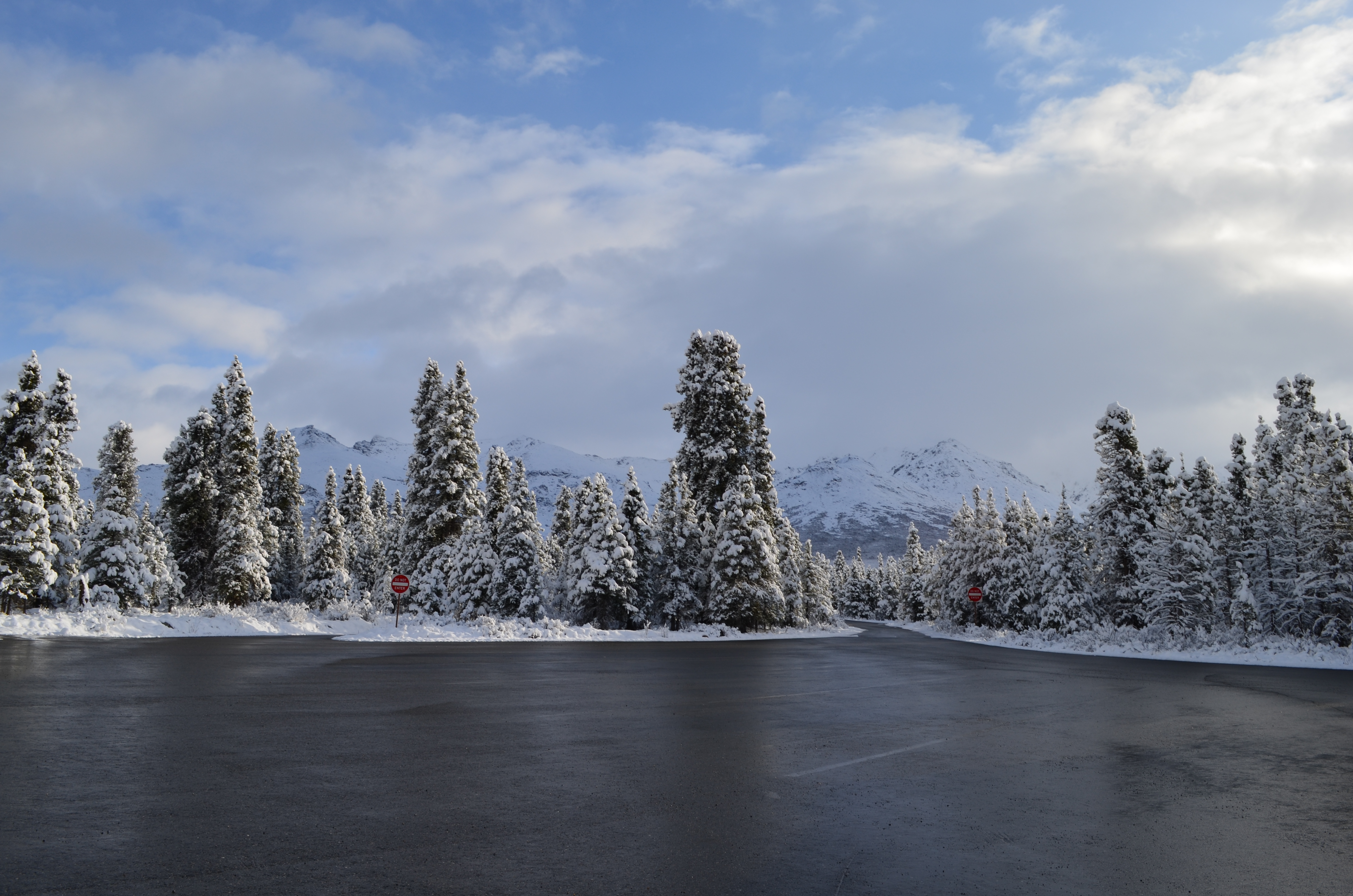 ./2017/08 - Alaska Cruise/03 - Denali/DSC_0225.JPG